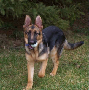 trinatrotswball5months2.jpg